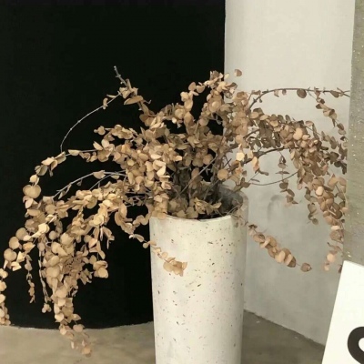 兽设冰雪元素设计福瑞交流群